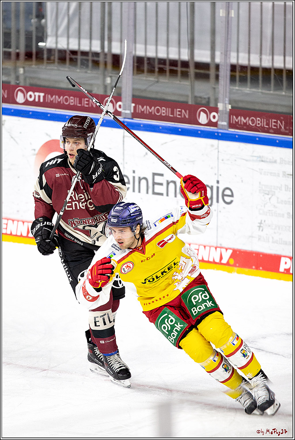 PENNY DEL;  Koelner Haie - Duesselorfer EG; Koeln, 21.01.2021